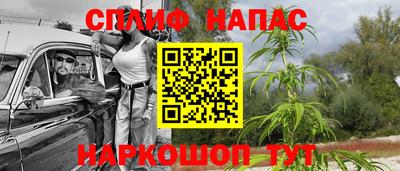 тгк Заводоуковск