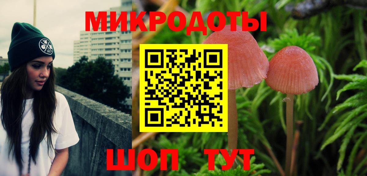 Мурино  Псилоцибиновые грибы GOLDEN TEACHER  Вход с VPN  Галлюциногенные грибы GOLDEN TEACHER 